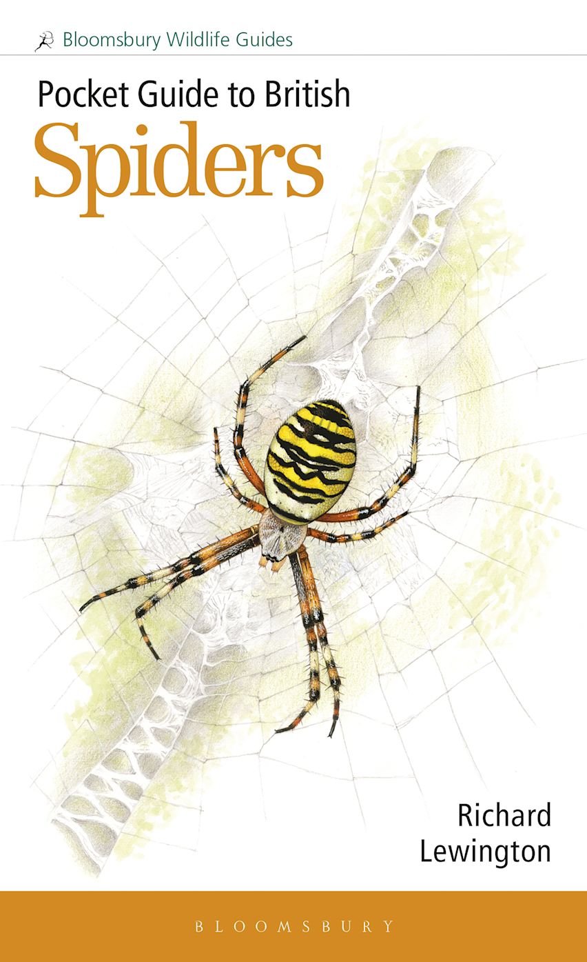 ⭕️新価格⭕️★BRITISH SPIDERS I・IIイギリスの蜘蛛図鑑 ⭕️新価格⭕️☆BRITISH SPIDERS I・IIイギリスの蜘蛛図鑑