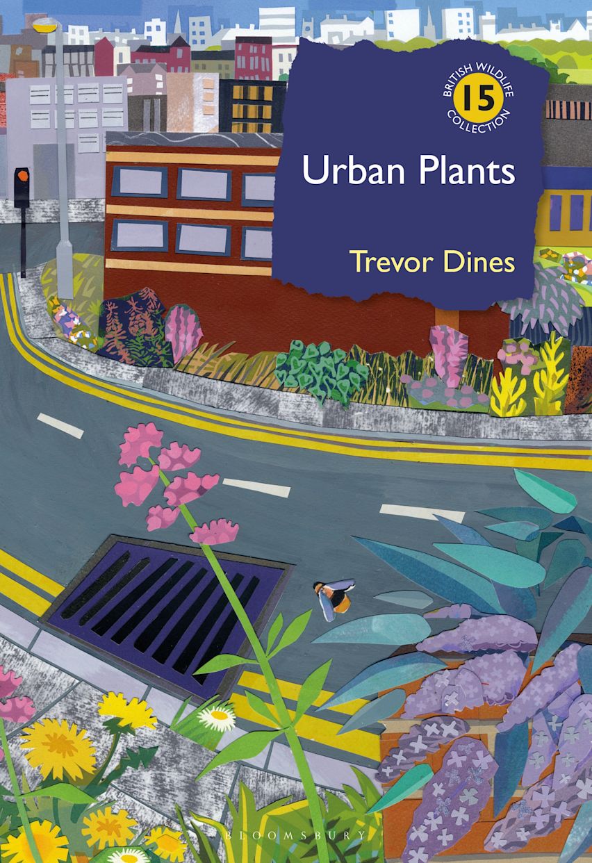 Urban Plants cover