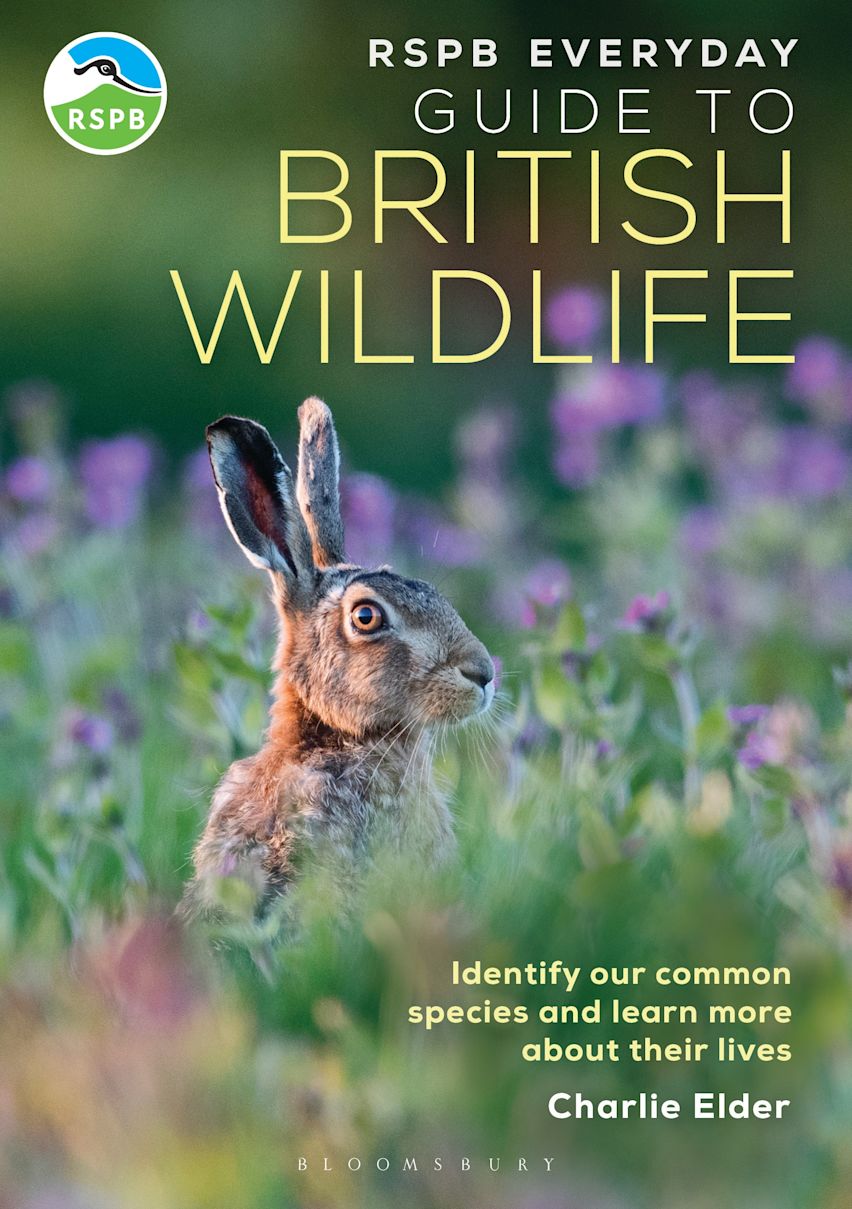 送込★FIELD GUIDE TO THE ANIMALS OF BRITAIN Field Guide to the Animals of Britain (Nature Lover's