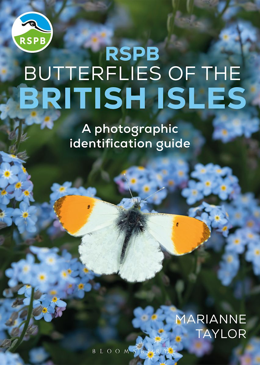RSPB Butterflies of the British Isles cover