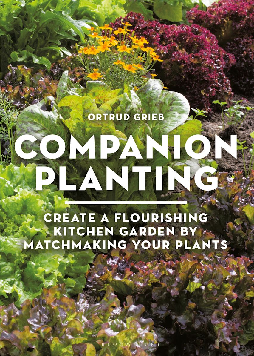 Companion Planting cover