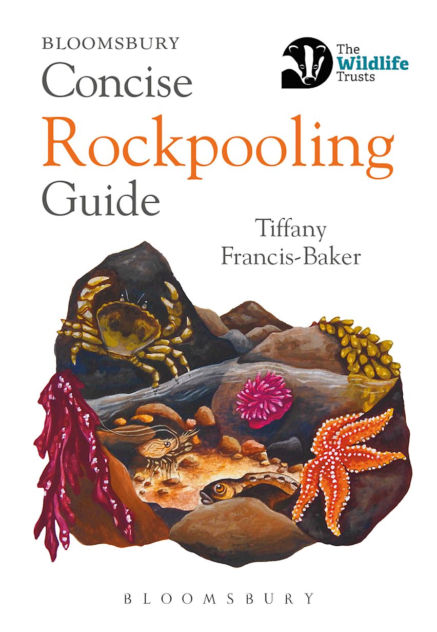 Concise Rockpooling Guide cover