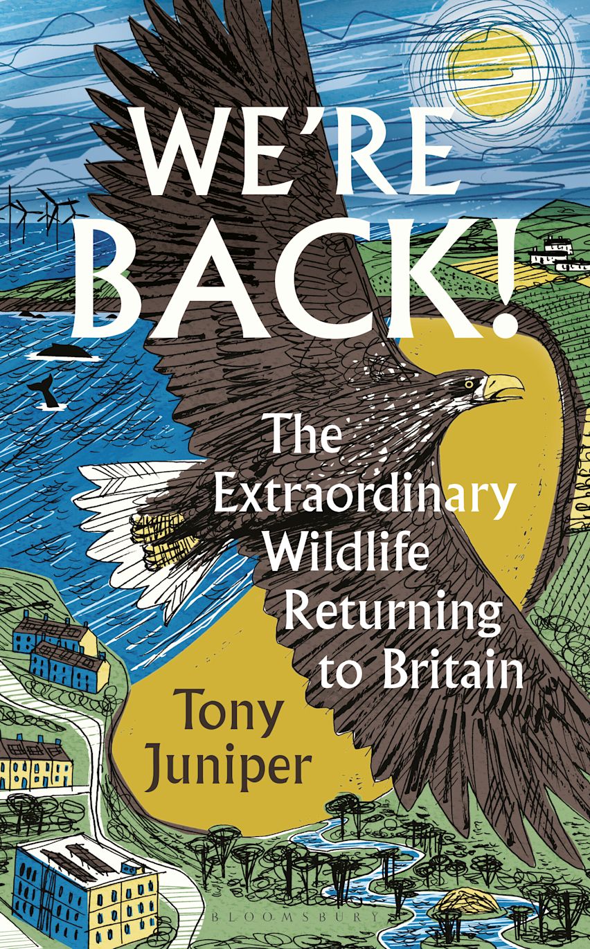 We're Back! cover
