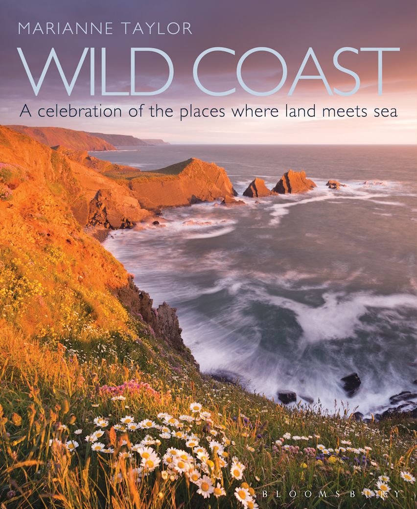 Wild Coast cover