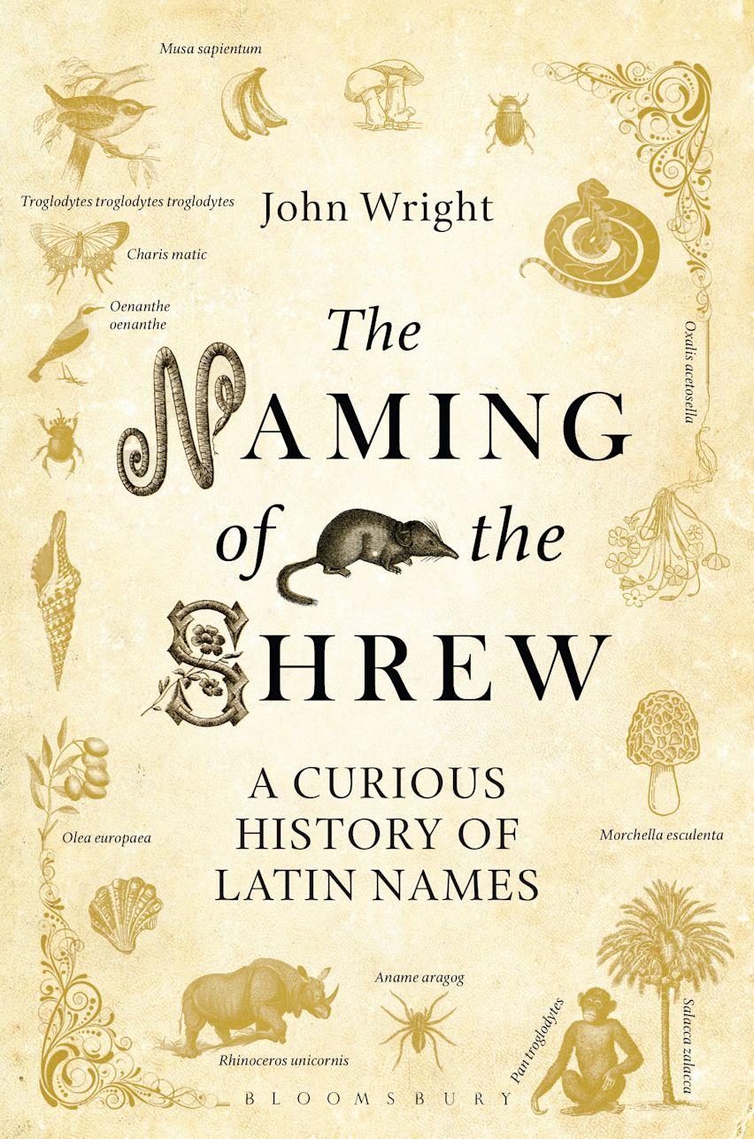 The Naming of the Shrew cover