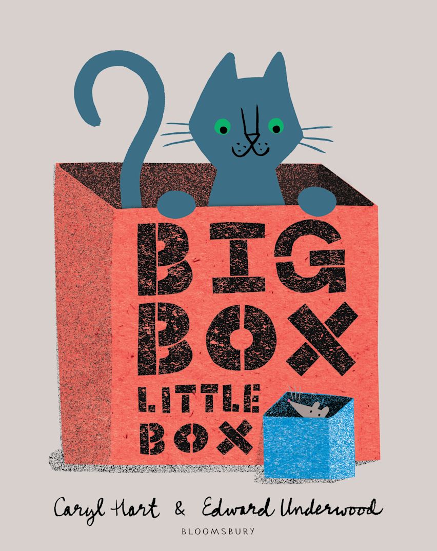 Big Box Little Box cover