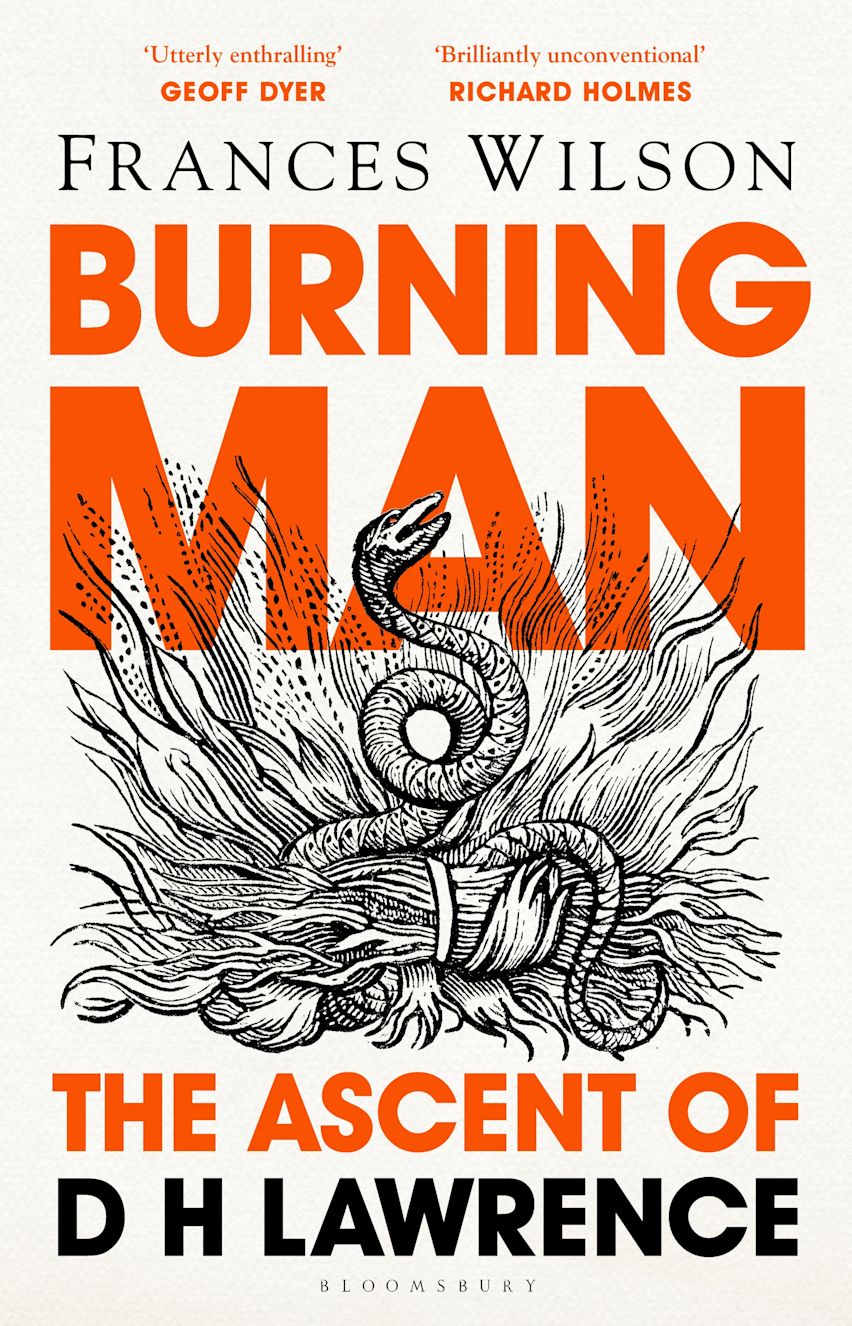 Burning Man cover