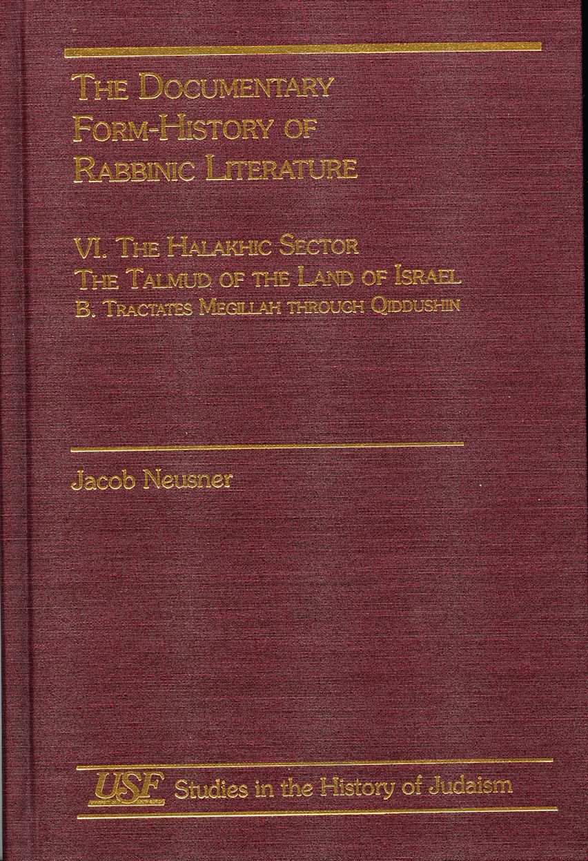 The Documentary Form-History of Rabbinic Literature cover