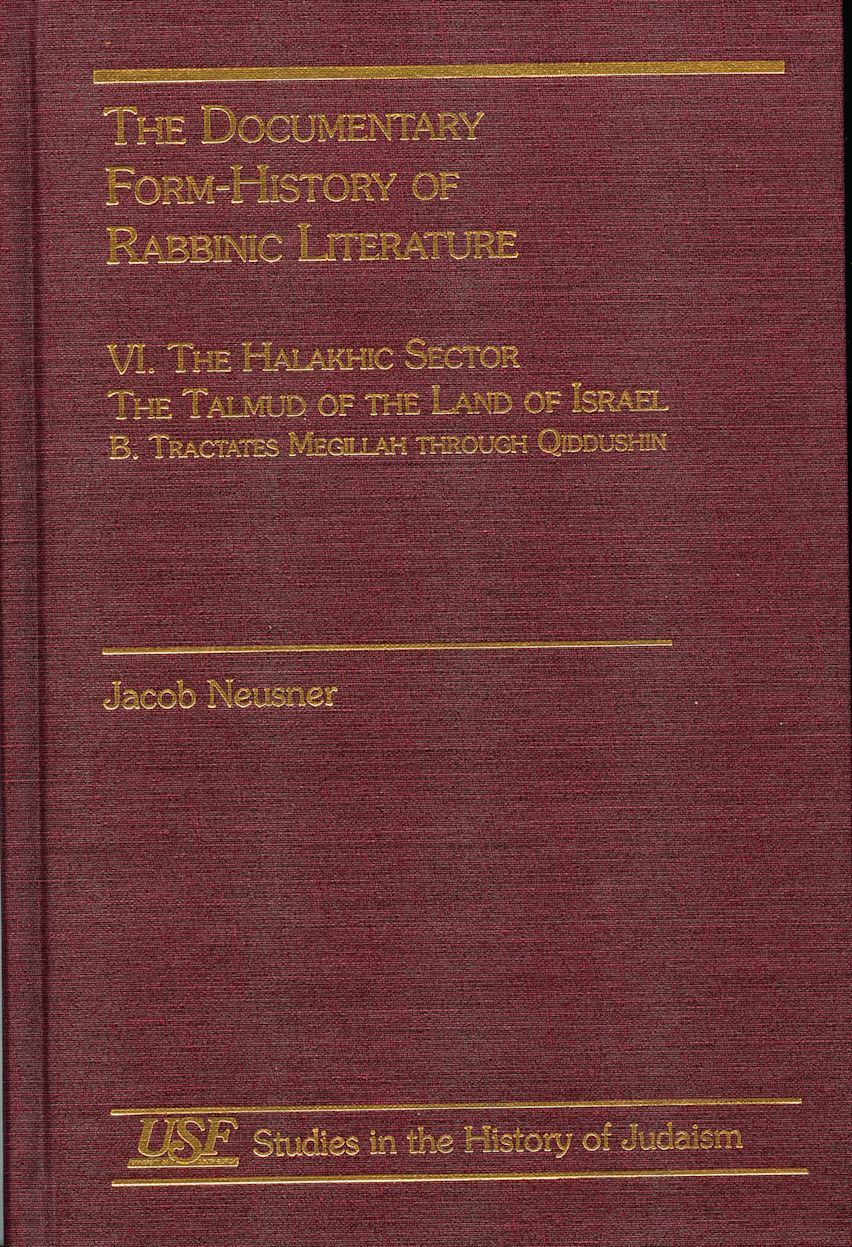 The Documentary Form-History of Rabbinic Literature cover
