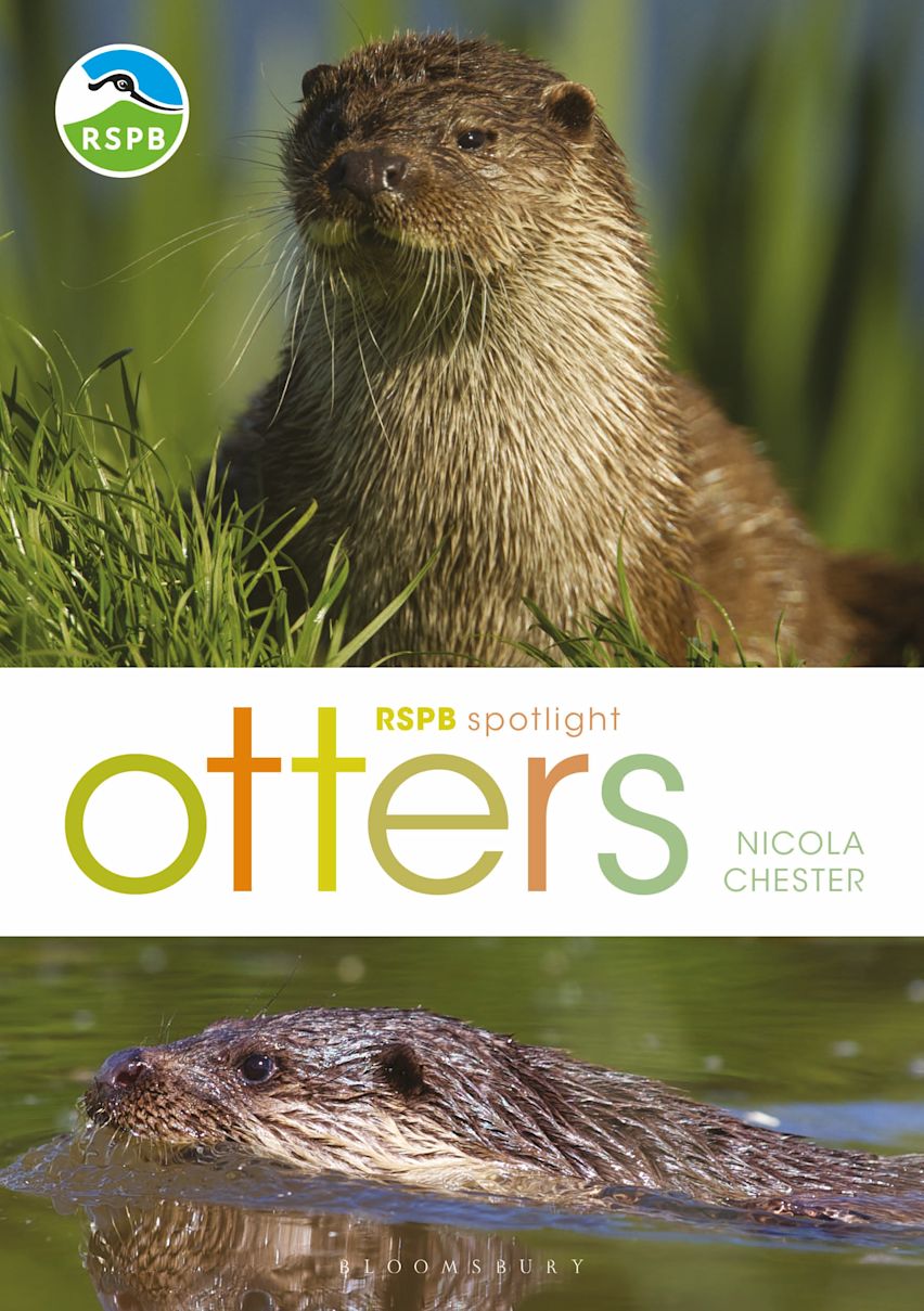 RSPB Spotlight: Otters cover