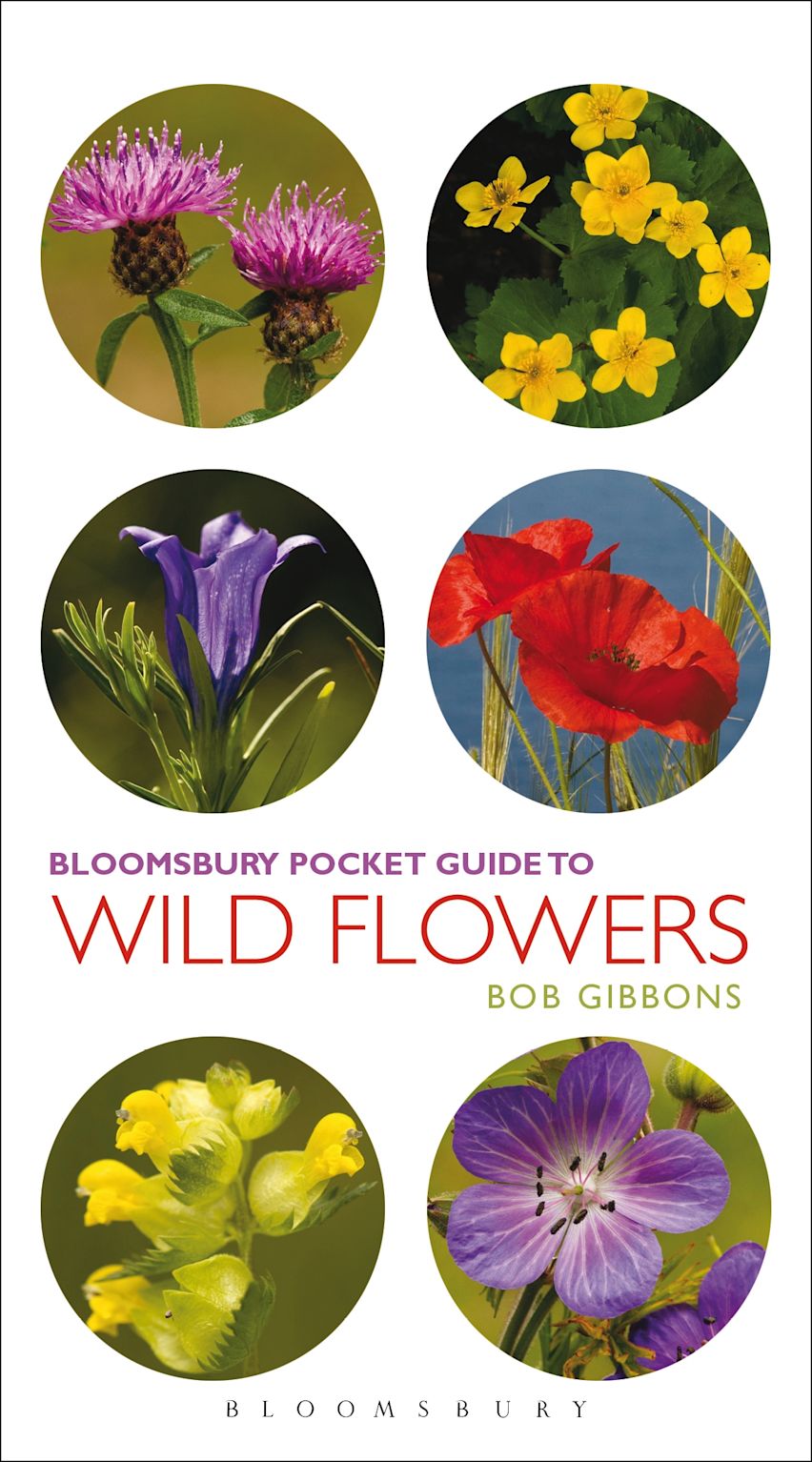 Pocket Guide To Wild Flowers cover