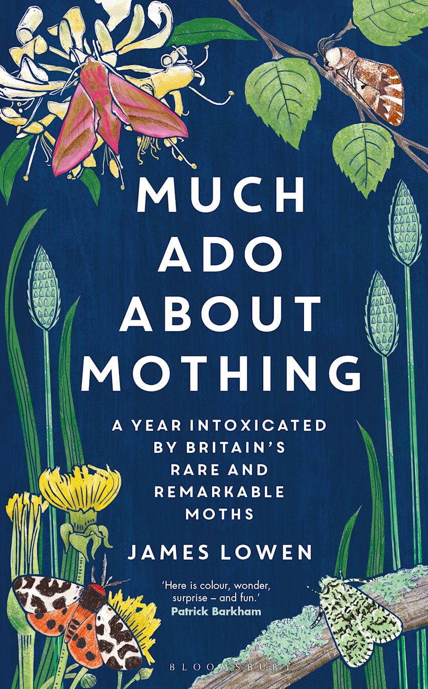 Much Ado About Mothing cover