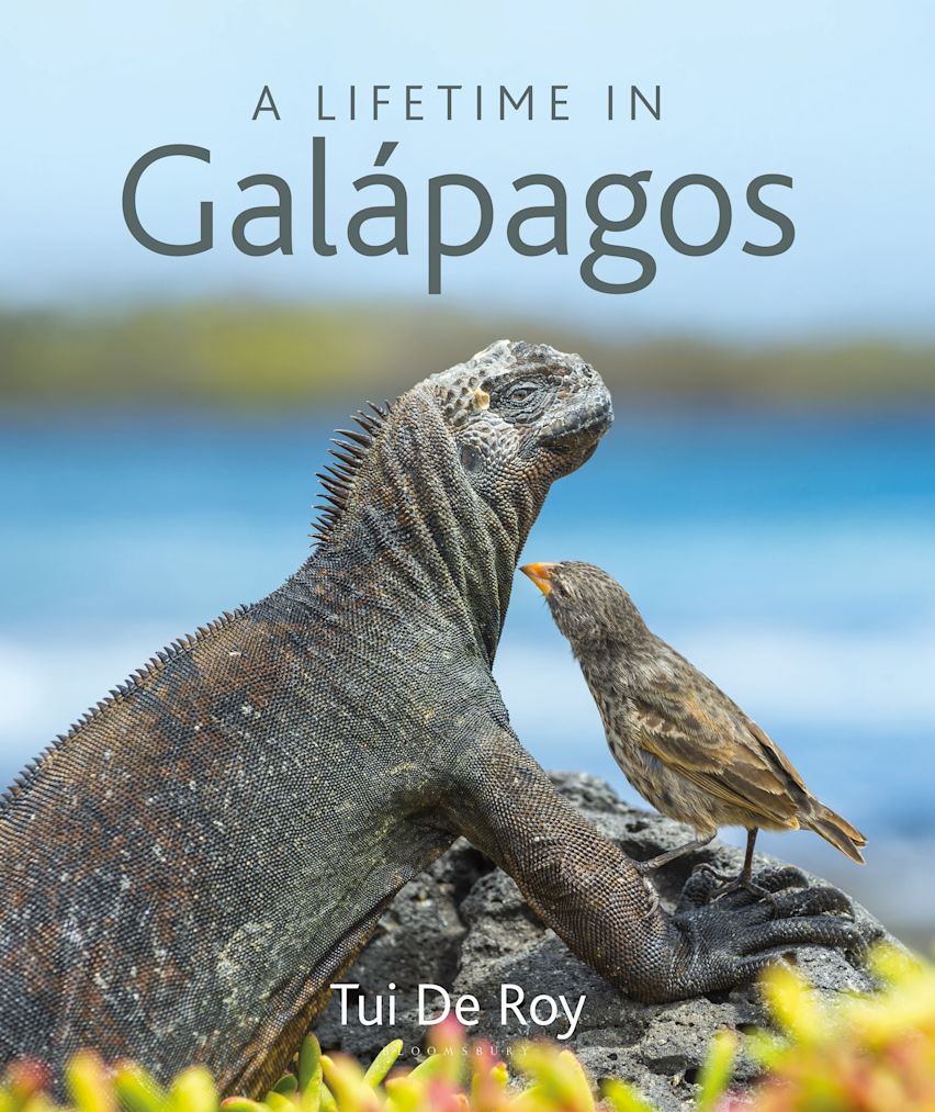 A Lifetime in Galapagos cover
