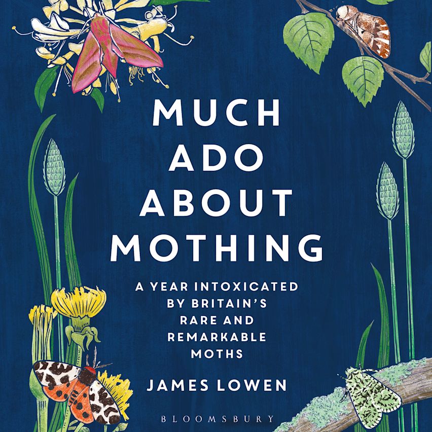 Much Ado About Mothing cover