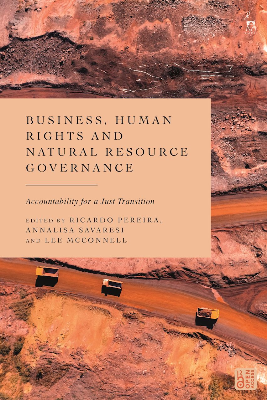 Business, Human Rights and Natural Resource Governance cover