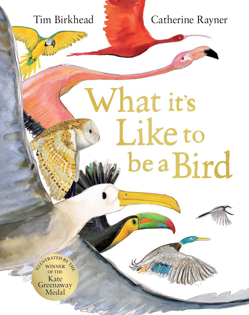 英語版　1976年発行　A closer Look at BIRDS 英語版 1976年発行 A closer Look at BIRDS 英語版 1976年発行 A