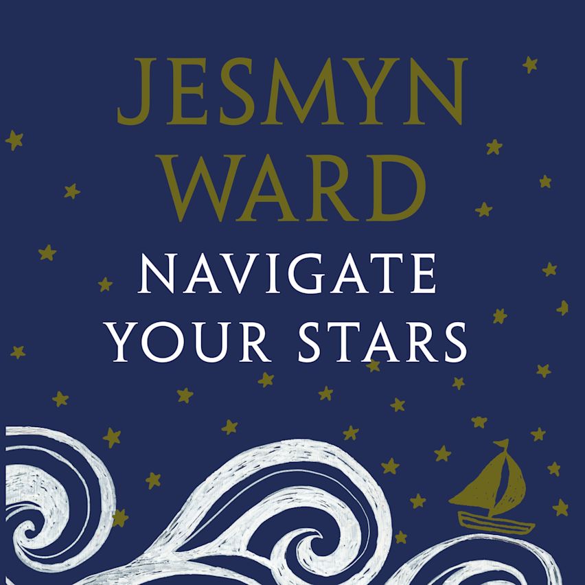 Navigate Your Stars cover