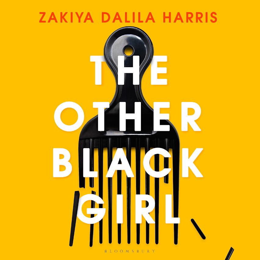 The Other Black Girl cover