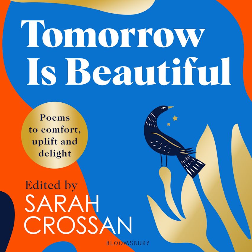 Tomorrow Is Beautiful cover