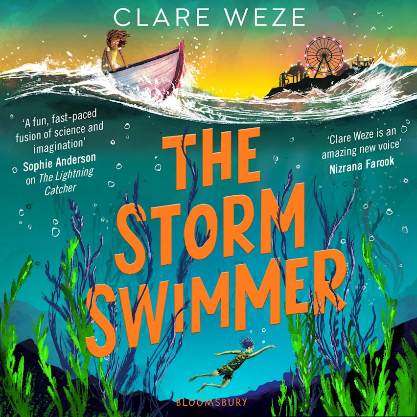 The Storm Swimmer cover
