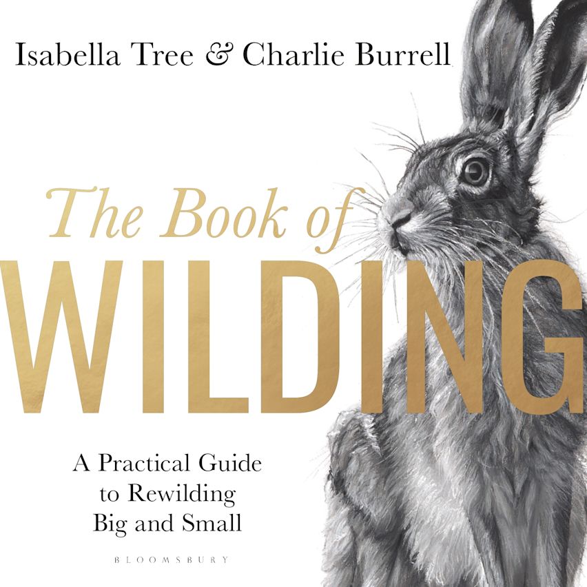 The Book of Wilding cover