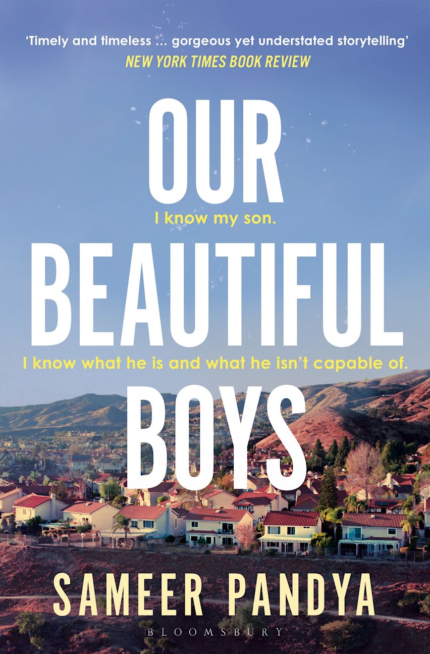 Our Beautiful Boys cover