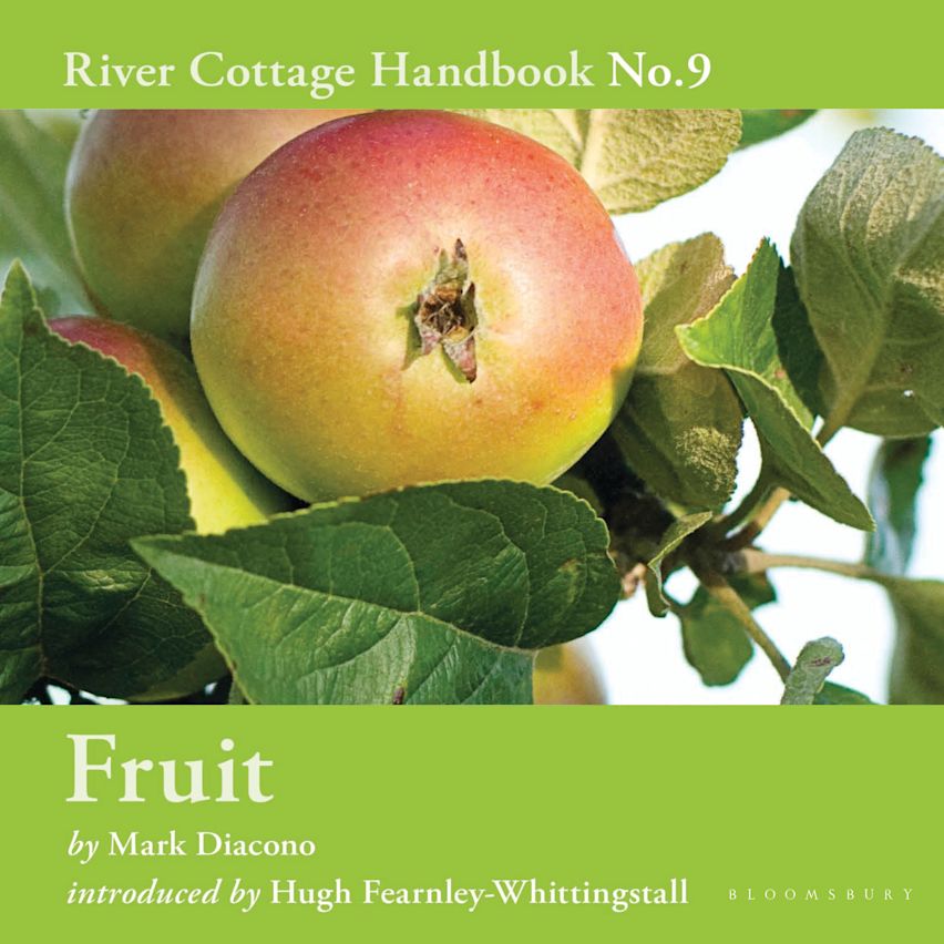 Fruit cover