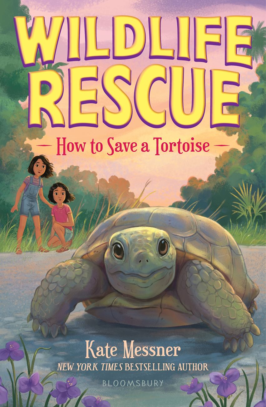 How to Save a Tortoise cover