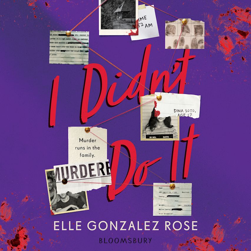 I Didn't Do It cover