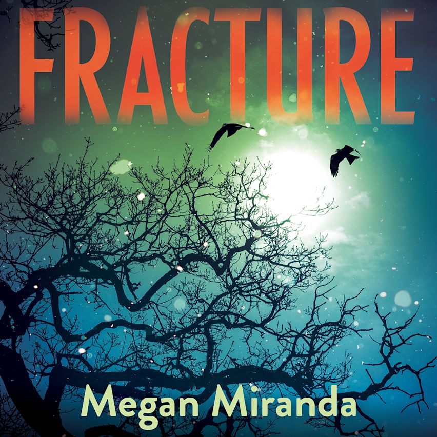 Fracture cover