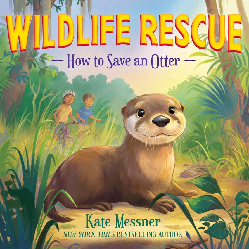How to Save an Otter cover