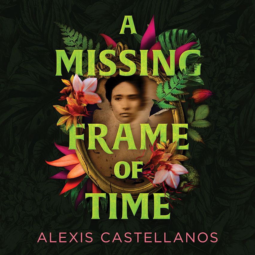 A Missing Frame of Time cover