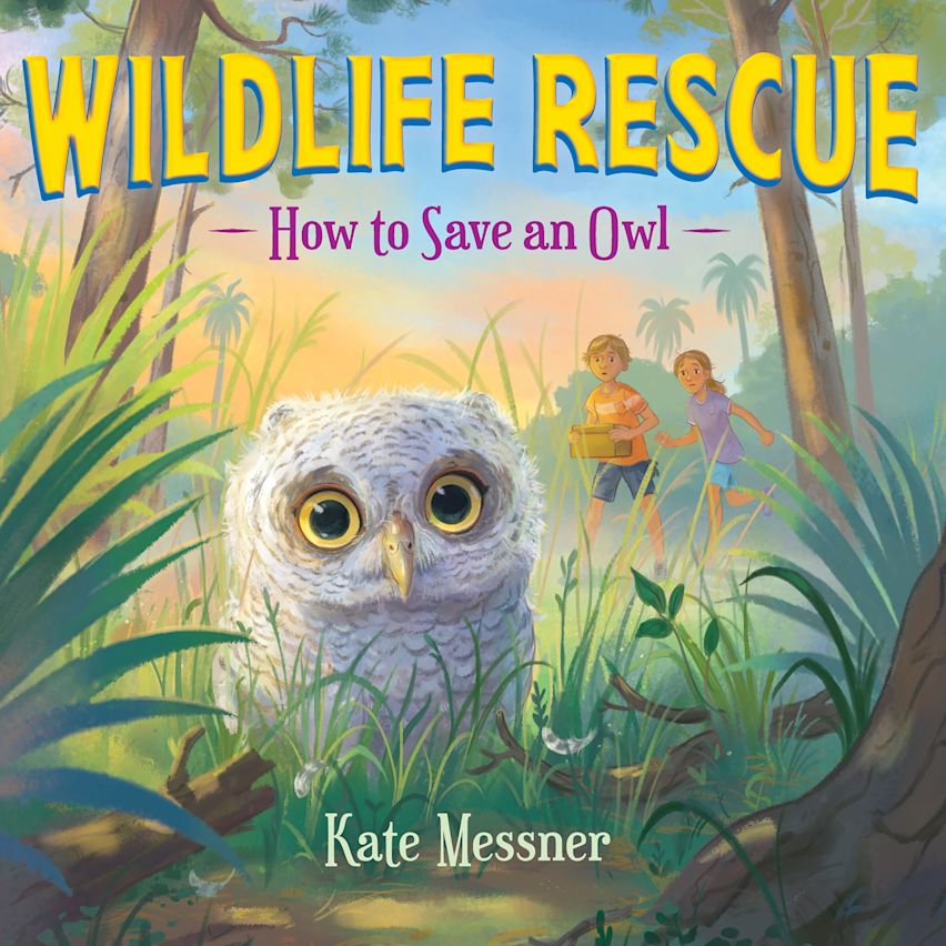 How to Save an Owl cover