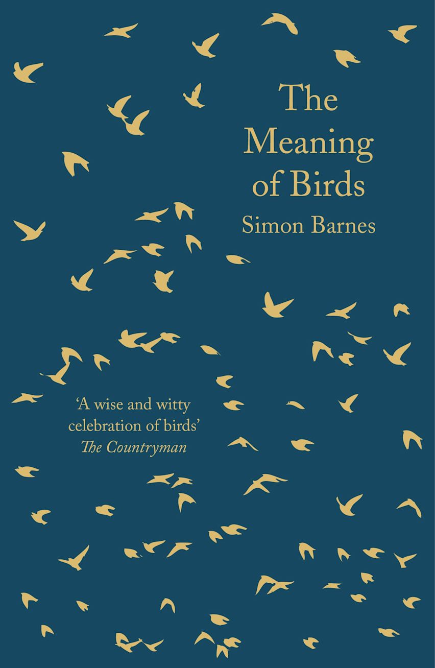 The Meaning of Birds cover