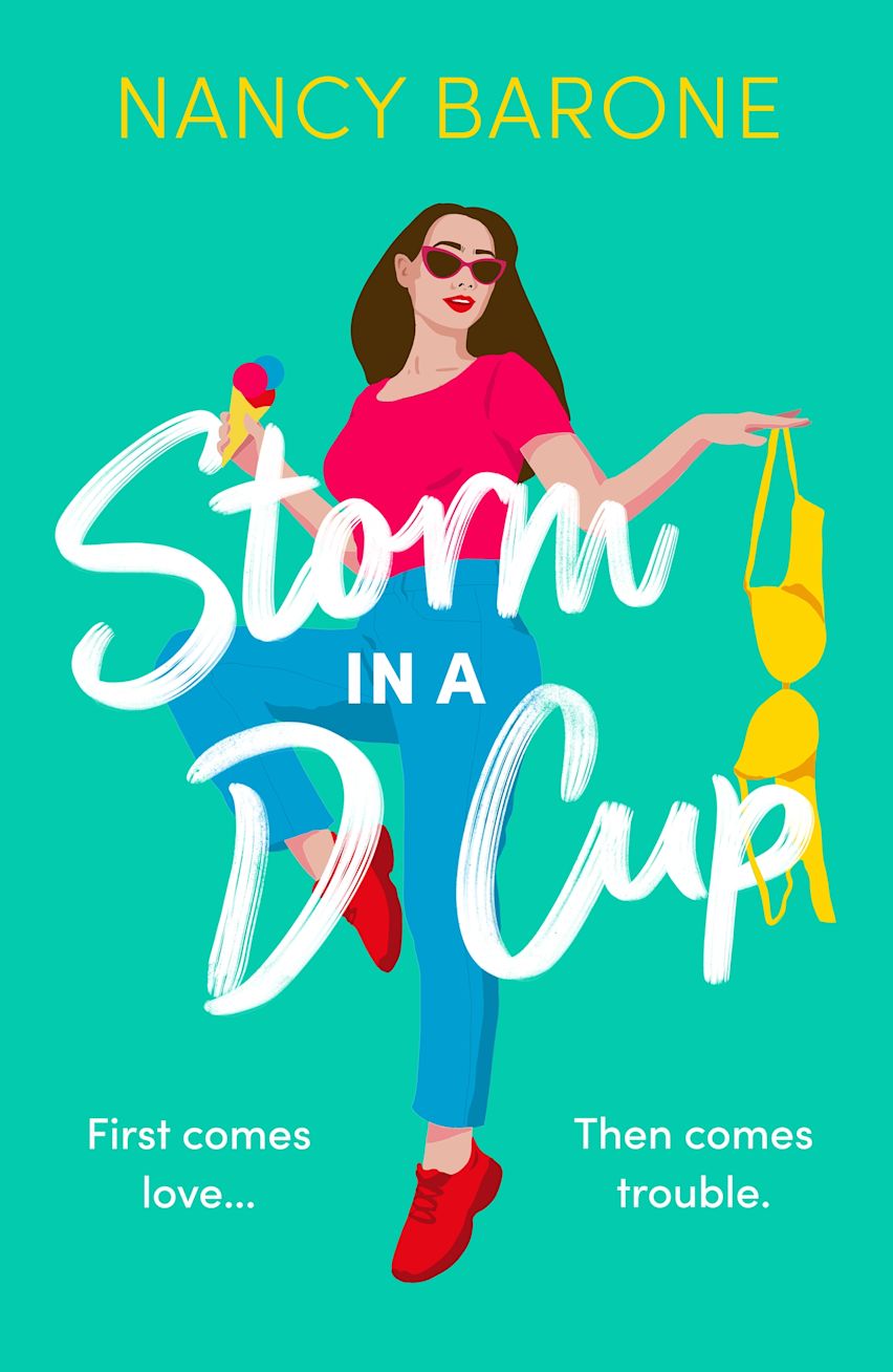 Storm in a D Cup cover
