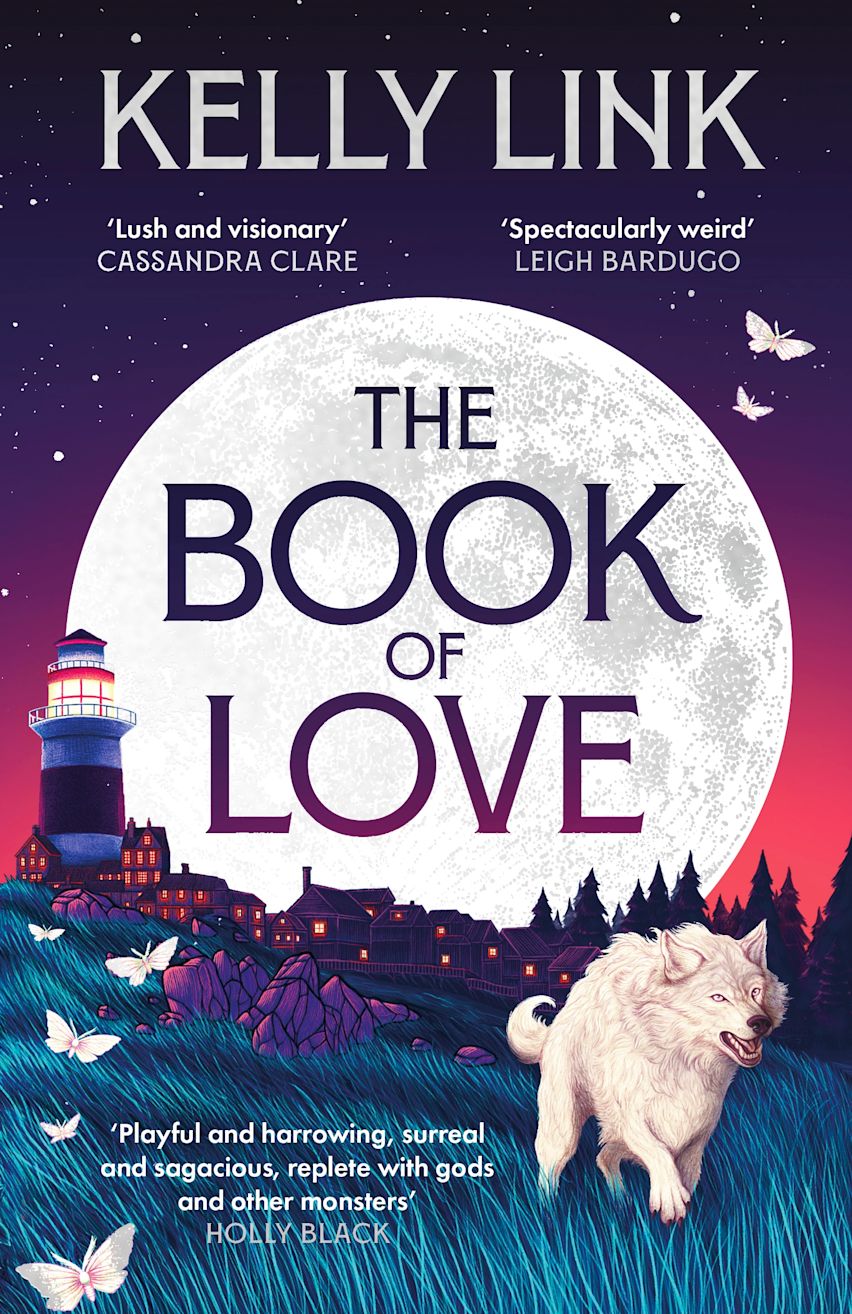 The Book of Love cover