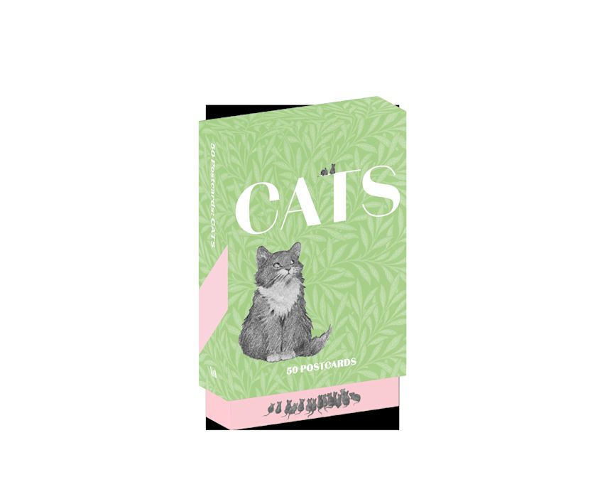 Cats: 50 Postcards cover