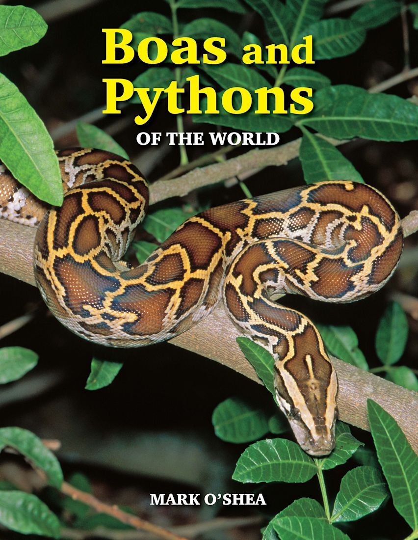 Boas and Pythons of the World cover