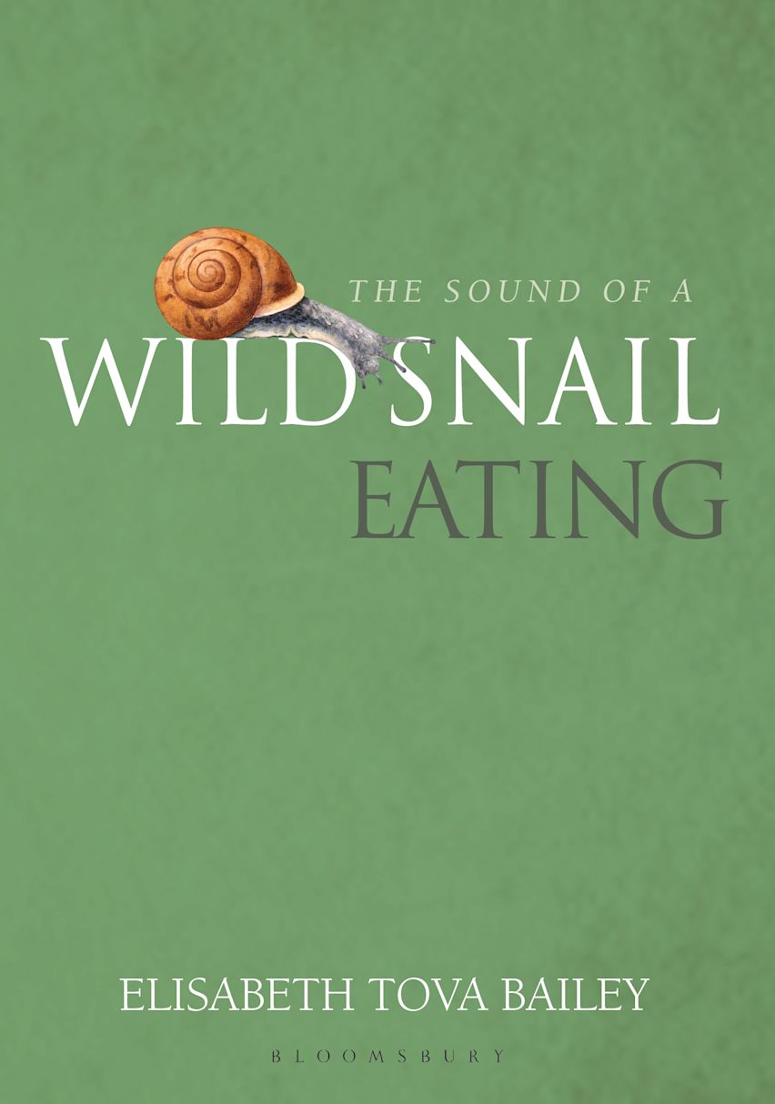 The Sound of a Wild Snail Eating cover