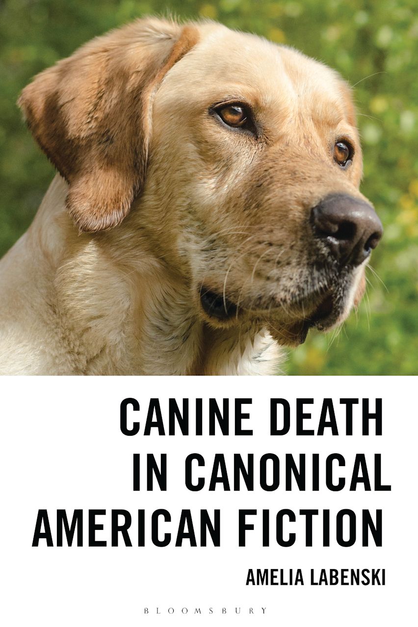 Canine Death in Canonical American Fiction cover