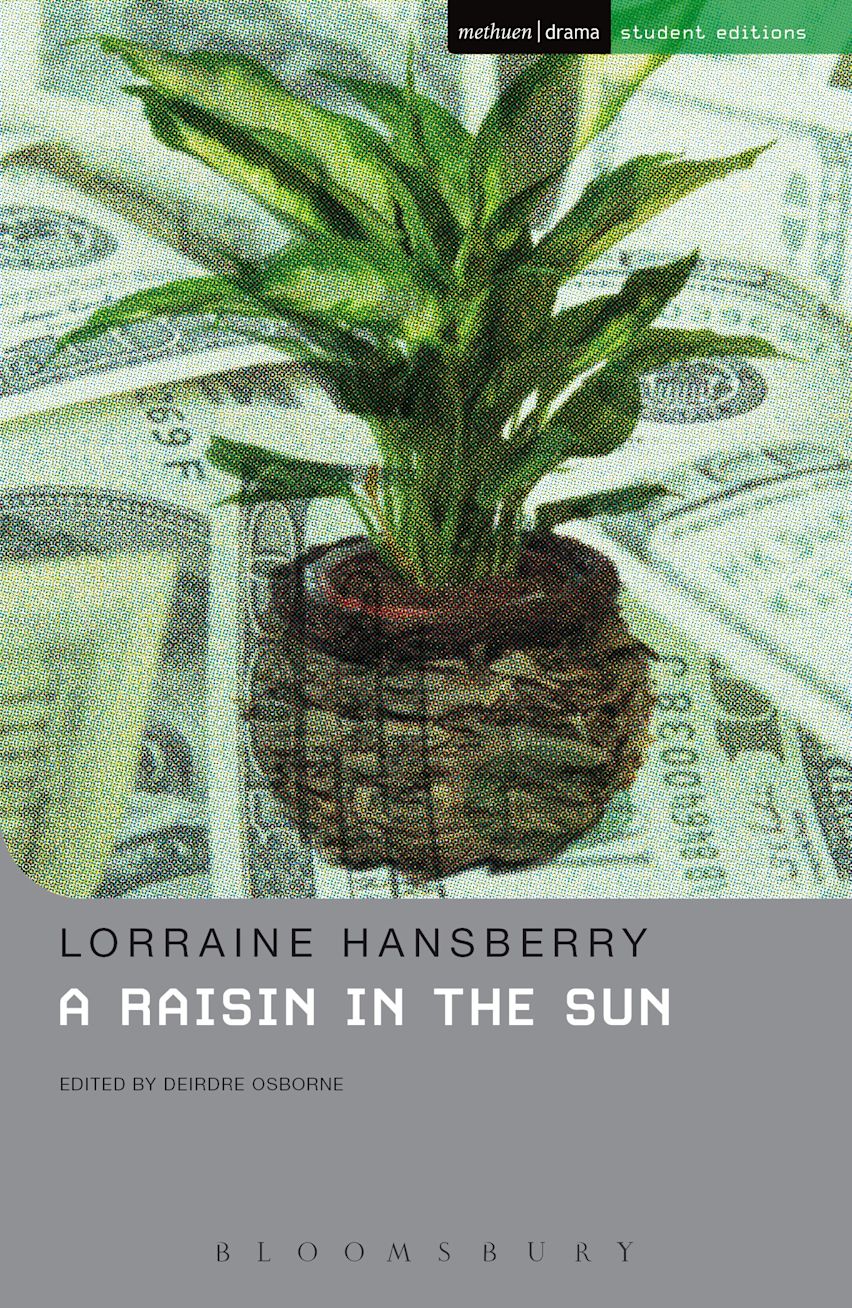 A Raisin In The Sun cover