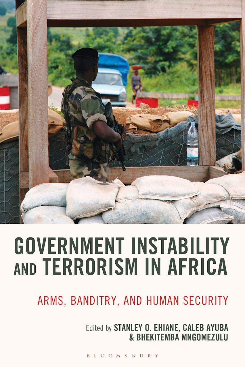 Government Instability and Terrorism in Africa cover