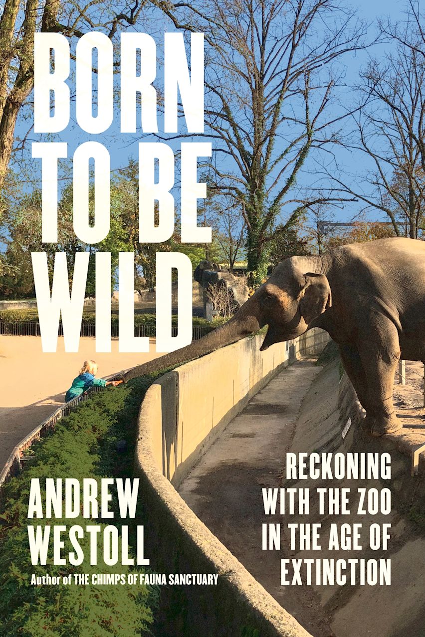 Born to Be Wild cover