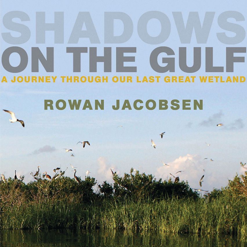 Shadows on the Gulf cover