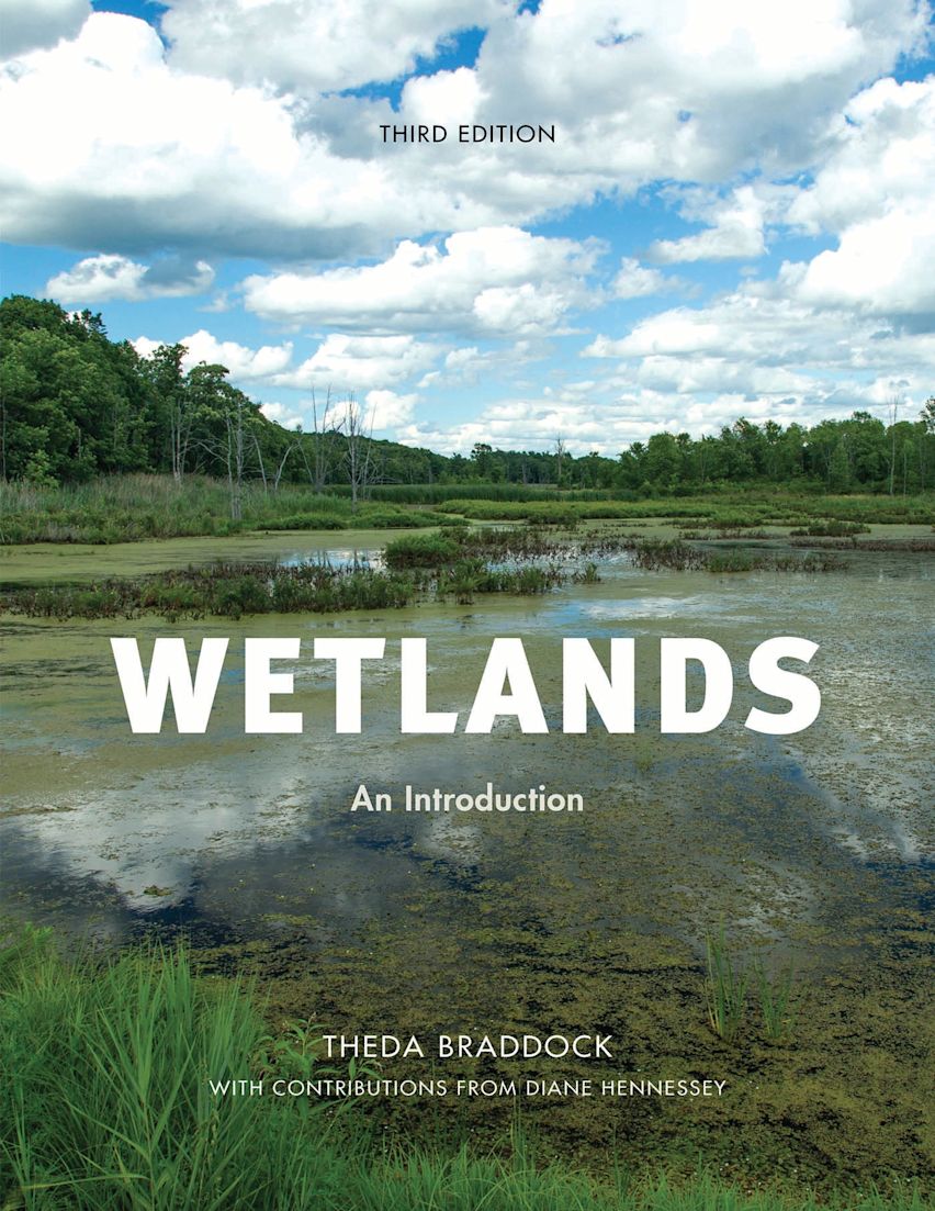 Wetlands cover