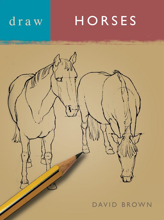 Draw Horses Draw Books David Brown A&C Black Visual Arts