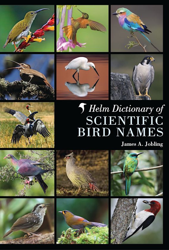 Helm Dictionary of Scientific Bird Names: : James A. Jobling: Helm Helm Dictionary of Scientific Bird Names: : James A. Jobling: Helm