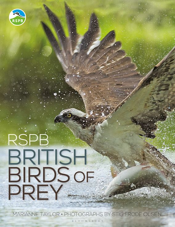 Birds of Prey Britain