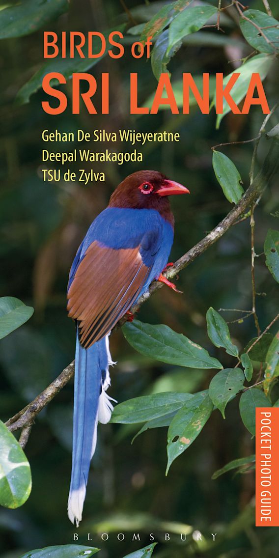 Birds Of Sri Lanka Pocket Photo Guides Gehan De Silva Wijeyeratne Helm 