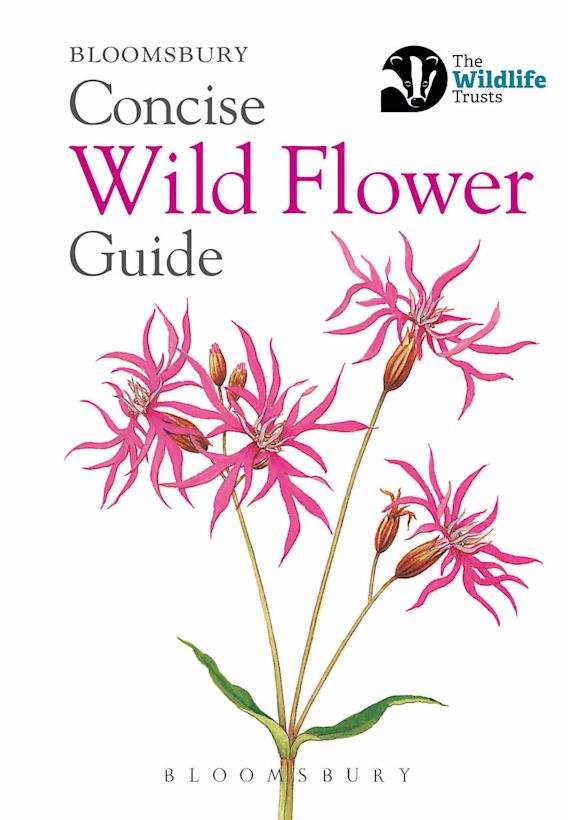 Concise Wild Flower Guide cover